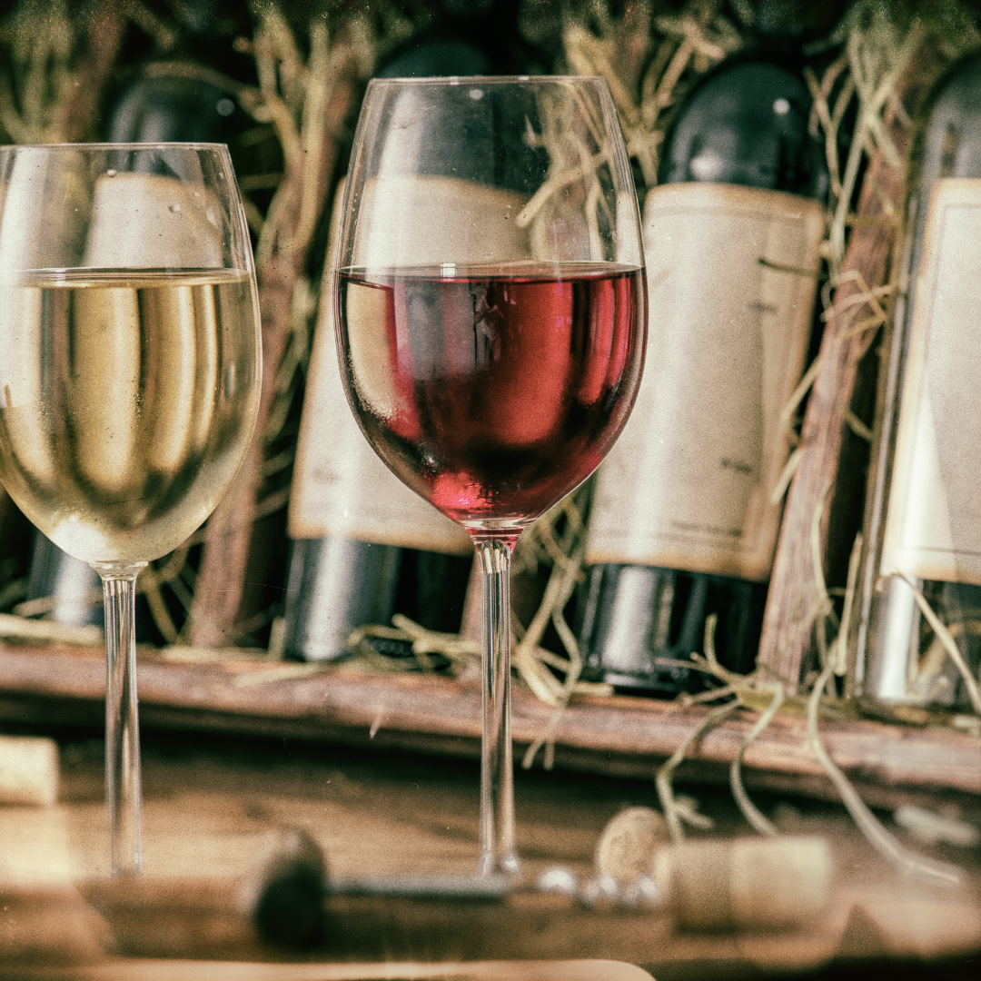 Degustazioni in cantina a Torino.